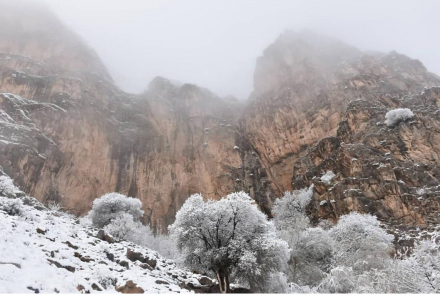 تصاویر ارسالی برندگان